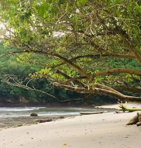 Oceanview Nusa Penida Sakti