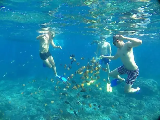 Oceanview Nusa Penida Sakti